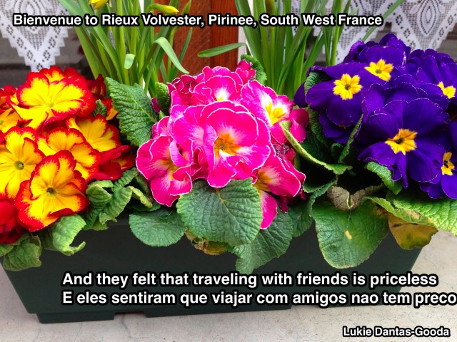 Fresh  flowers display in the windows brings me back memories of our Medieval City Norwich in England.