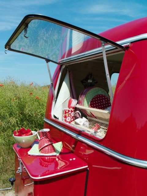 524604_383157421798826_1684023469_n